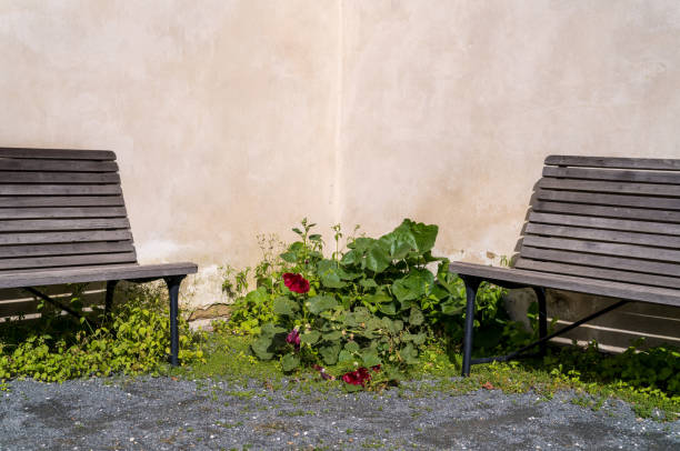 istock Two weathered old wooden benches 1932088527