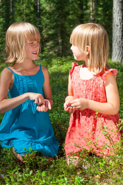 Two little girls wearing blue and red summer dress picking and eating blueberries in a forest