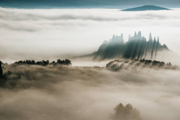 Beautiful foggy sunrise in Tuscany, Italy with vineyard and trees. Natural misty background