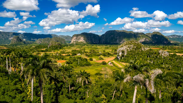 Expanse of Valle de Viñales valley in Cuba, seen from Mirador Los Jazmines viewpoint, a must-see destination in the Caribbean with fertile tobacco fields and Mogote hills of Vinales national park. Discover Valle de Vinales valley in Cuba, viewed from Mirador Los Jazmines viewpoint, a famous Caribbean destination with fertile tobacco fields and distinctive Mogote hills of Viñales National Park. cuba stock pictures, royalty-free photos & images