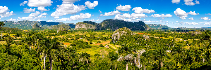 Panoramic view of Valle de Viñales valley, with palm trees, cuban tobacco fields and limestone Mogote hills of Sierra de Vinales mountains, picturesque landscape of a renowned location in Cuba tourism