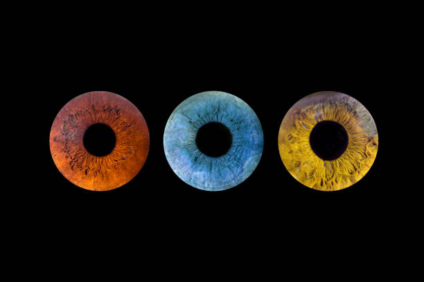 istock macro shot  eyes 1932129480