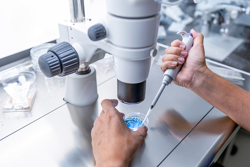 Close up In the fertility laboratory the Doctor preparing embryo cultivation plates