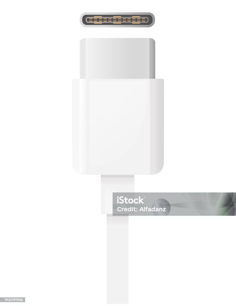 Type C Vector Usb Typec Connector Plug File Transfer On Charge Device Cable Vector ...