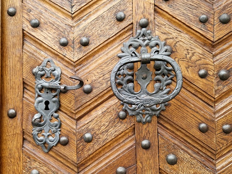 Iron lion on wooden door