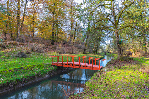 Wooden bridge spanning a water canal