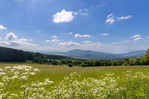 Typical Spring landscape in White Carpathians near Stary Hrozenkov, Southern Moravia, Czech Republic