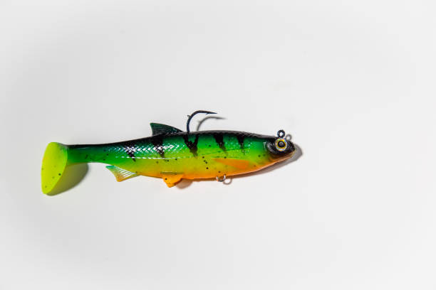Fishing lure on a white background. colorful silicone fish bait with a hook isolated on white background cut out top view