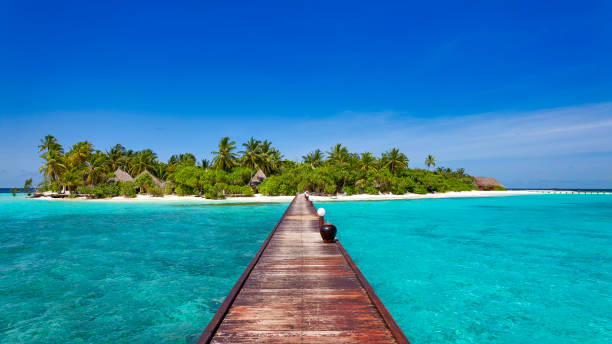 istock Jetty over blue ocean leading to tropical island 1932276419