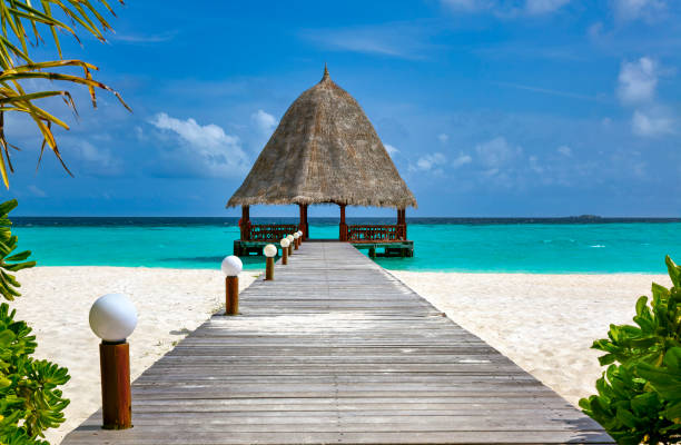 istock Wooden jetty over sandy beach to a thatched pavillon 1932276933