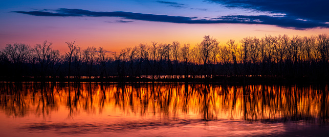 Fiery winter sunset with bare trees reflected on the water and blazing orange-colored nightfall