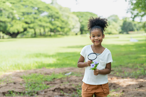 Smiling African American little girl has fun holding magnifying glass to explore and look bugs in flower between learning beyond the classroom. Education outdoor concept.