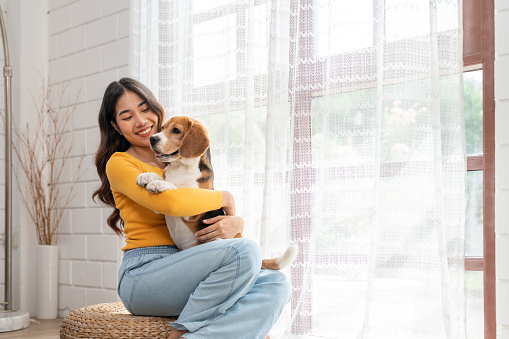 Happy Asian young woman in casual clothes hugging her beagle dog sitting near window in living room at cozy home. Pet and cute animal concept.