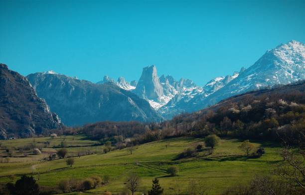 picos europa 14012024 - valley georgia river mountain fotografías e imágenes de stock