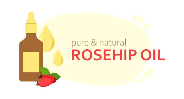 Vector illustration of Cosmetic Bottle Rosehip Oil. Jar with pipette, drops of essential organic oil. Dog-rose fruit. Alternative medicine