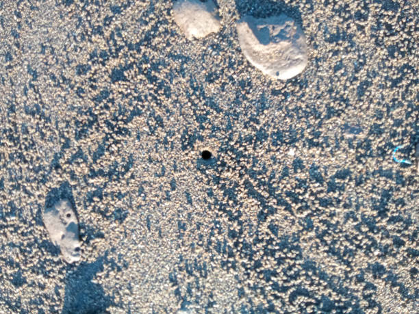 istock Ghost crab hole on sand beach with small natural sand balls. 1932353199