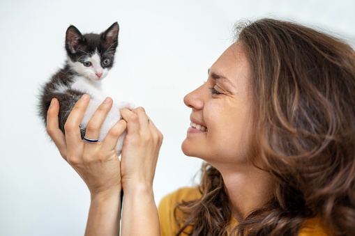 Young cheerful smiling woman with a small black and white kitten i