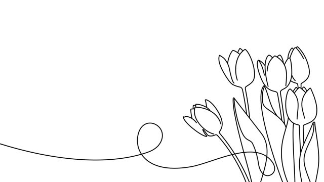 Continuous one line drawing of beautiful spring flowers graphic animation. Alpha channel. Single line art bouquet of tulips on transparent background motion design. 4K resolution