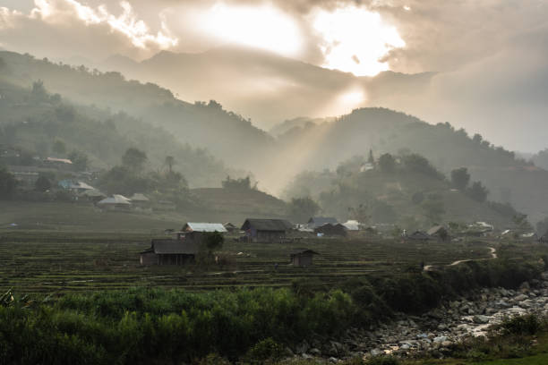 Muong Hoa Valley, located about 8km southeast of Sapa town, Vietnam. It's famous for its green rice terraces or golden rice paddies along with majestic mountain and forest