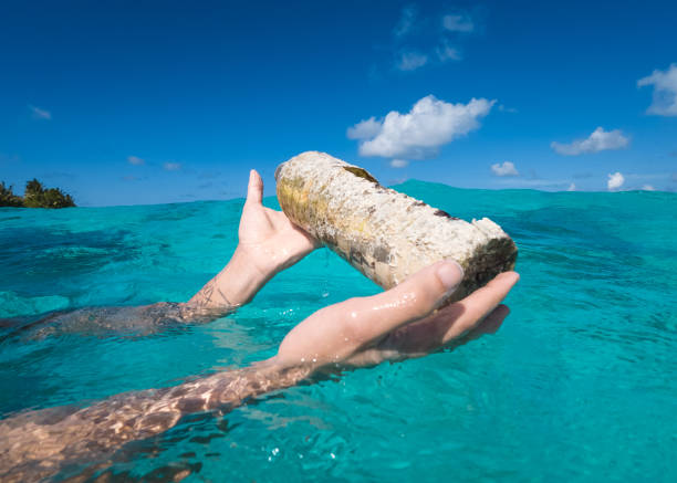 istock Man's holding a plastic bottle from the in the ocean 1932412508