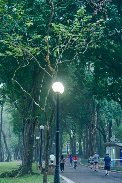 istock The Botanical Garden Hanoi 1932438149