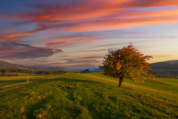 Carpathian mountains landscape, Eastern Slovakia