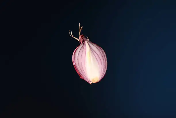Half a red onion on a dark background.