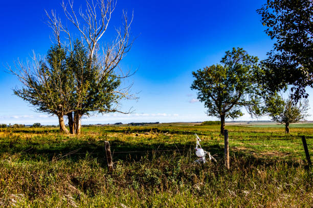 istock A drive through Wheatland County Alberta Canada 1932538901