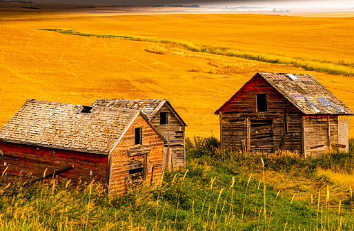 A fall drive thru the country with rustic buildings on full display. Starland County, Alberta, Canada