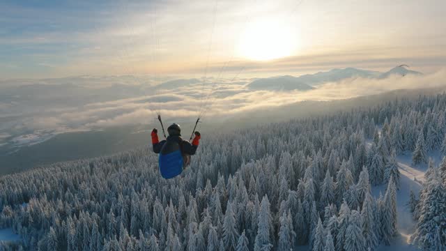 Beauty of paragliding flying above winter forest, adrenaline outdoor adventure freedom
