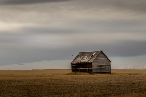 Rustic fam buildings sit on the prairies Vulcan County Alberta Canada