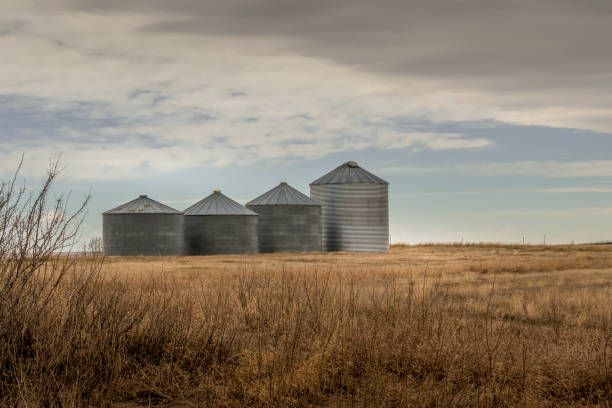 istock Rustic fam buildings Vulcan County Alberta Canada 1932563241