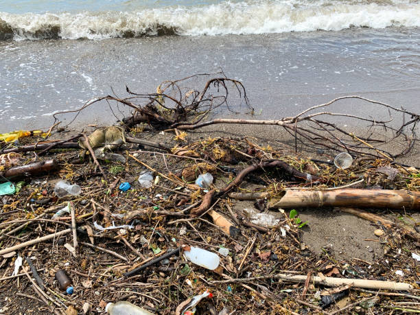 istock plastic waste and wooden branches on the coast 1932564302