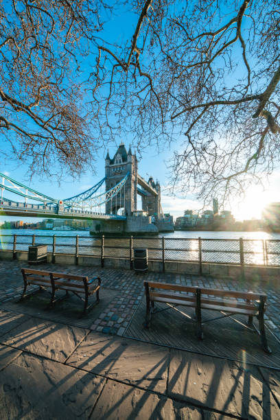 istock Park bench with view to River Thames and Tower Bridge in London 1932583606