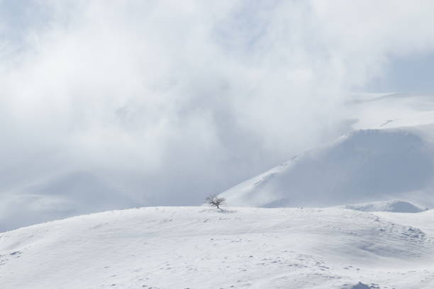 istock snowy mountains and nature landscape 1932611753