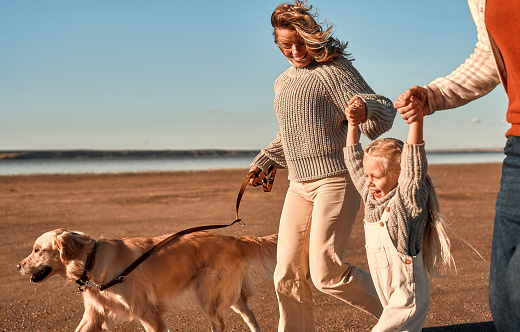A young couple of parents with a little cute daughter and their beloved retriever dog walking and relaxing on a sandy beach in cool weather on their weekend. Family traveling with pet.