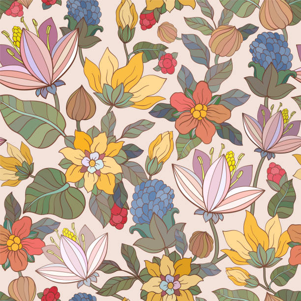30+ Sweet William Drawing Illustrations - iStock