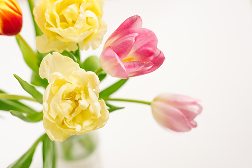 Bright spring bouquet of tulips in a vase close-up on a white background. Top view
