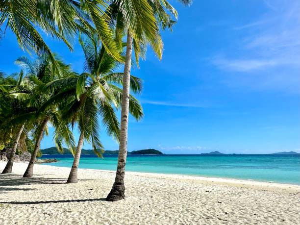 istock Beautiful white beach on Malcapuya island, Coron, Palawan, Philippines 1932635478