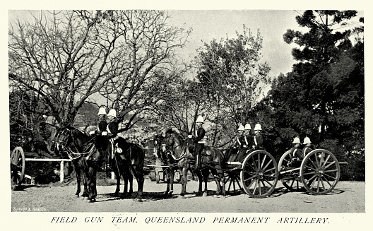 Vintage picture Australian army, Queensland Defence Force, Field Gun, Artillery, Military history, 1890s 19th Century