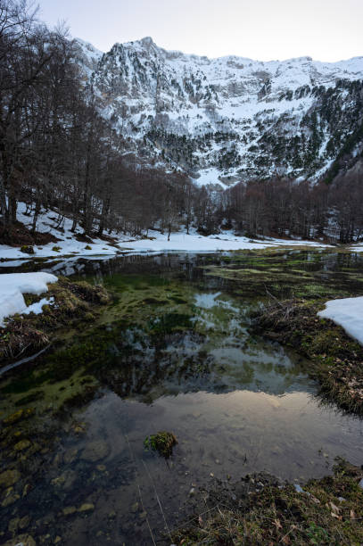 Frozen lake in Greece – zdjęcie