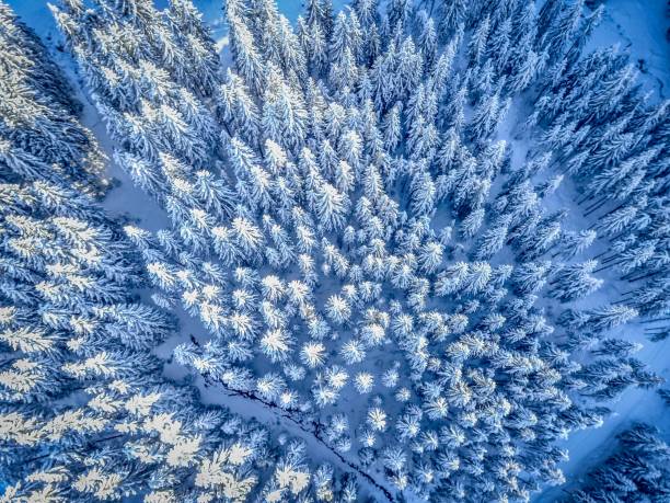 istock Winter Wonderland in Bad Gastein 1932703792