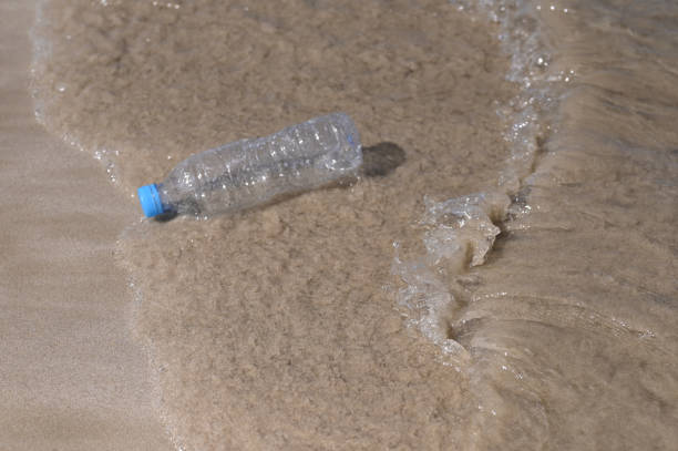 Mineral water bottles washed up on the beach