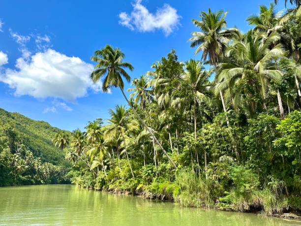 crociera sul fiume loboc - palme sul lato del bellissimo fiume verde - nautical vessel philippines mindanao palawan foto e immagini stock