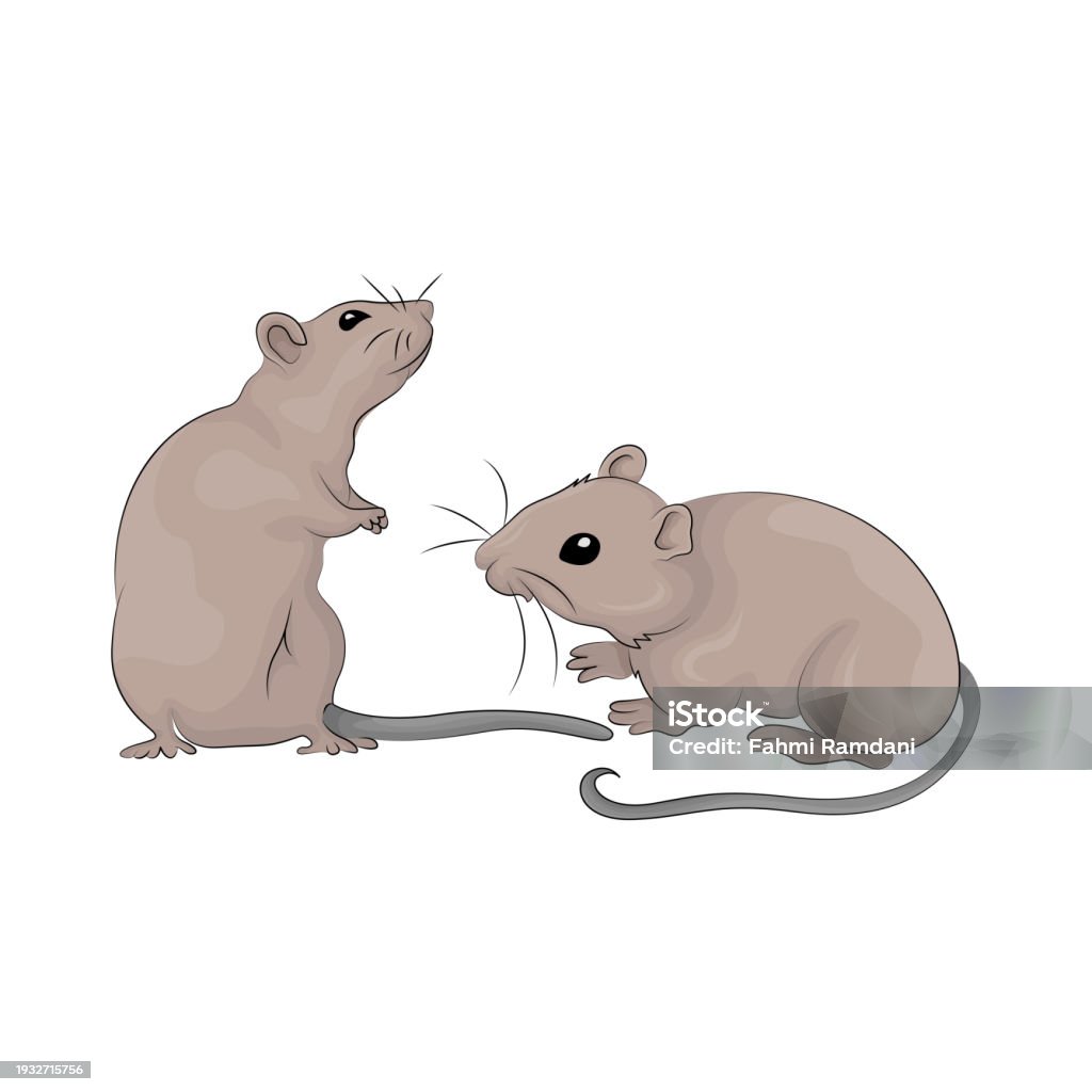 2 Mouse Drawing Two Mice Stock Illustration - Download Image Now - Animal, Animal Hair ...