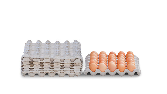 Fresh chicken eggs on paper egg tray near stack of carton trays isolated on white background