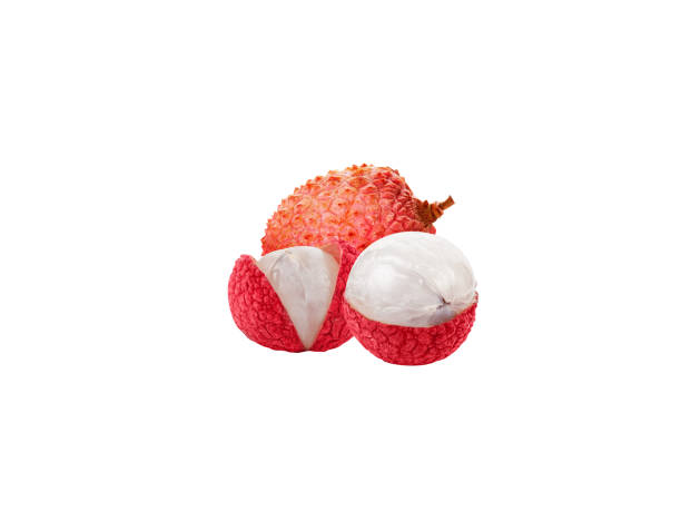istock Lychee, Litchi, Litchi chinensis or LEE chee 1932718444