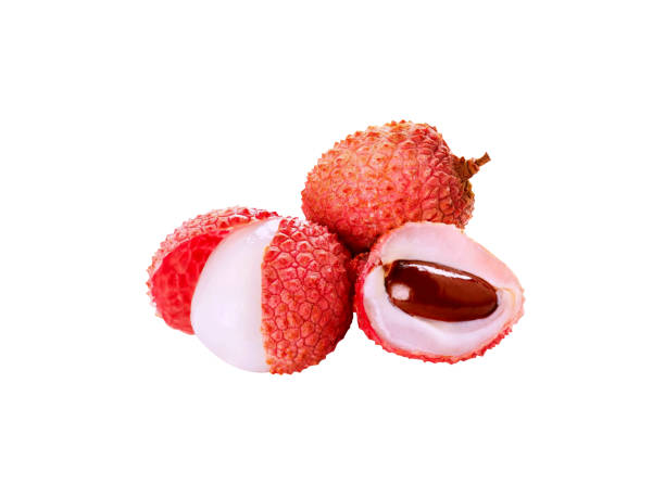 istock Lychee, Litchi, Litchi chinensis or LEE chee 1932719511