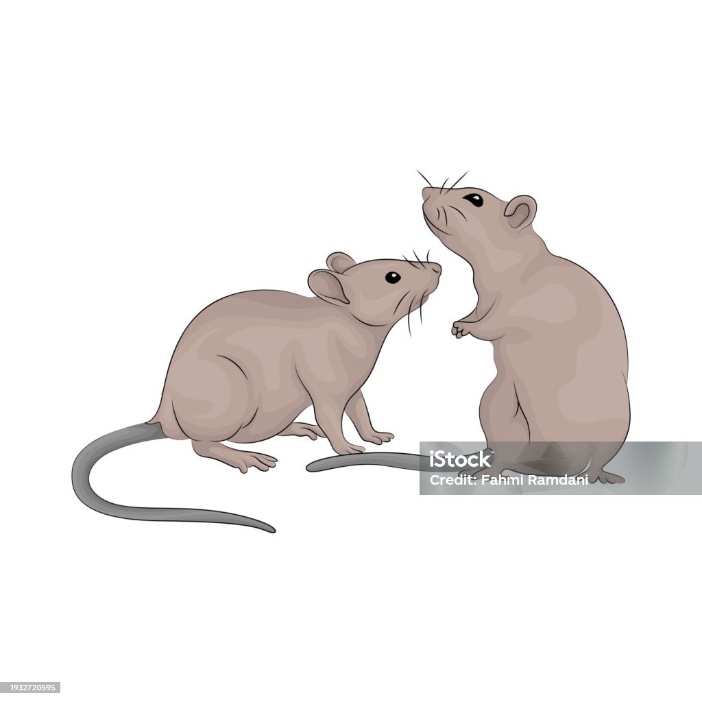 2 Mouse Drawing Two Mouse Stock Illustration - Download Image Now - Animal, Animal Hair ...