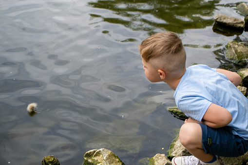 Small boy playing on a pond\nhandsome teenager boy launches kite on the sea in blue sky, close up. High quality photo